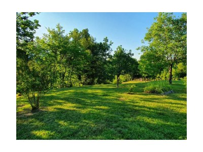 Holiday house Family friendly house with a parking space Zdihovo, Gorski kotar - 20491 - Family friendly house with a parking space Zdihovo, Gorski kotar - 20491 - Outdoor photo 8