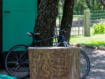 Holiday house Two bedroom house with terrace Breze, Novi Vinodolski K-20493 - Outdoor photo 9