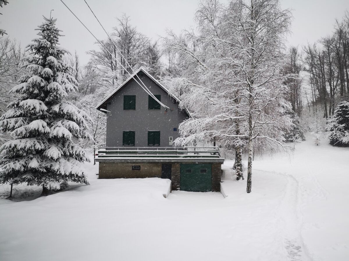 Holiday house Two bedroom house with terrace Fužine, Gorski kotar K-20518