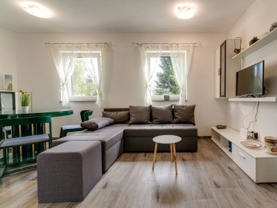 Holiday house Two bedroom house with terrace Fužine, Gorski kotar K-20518 - Outdoor photo 9