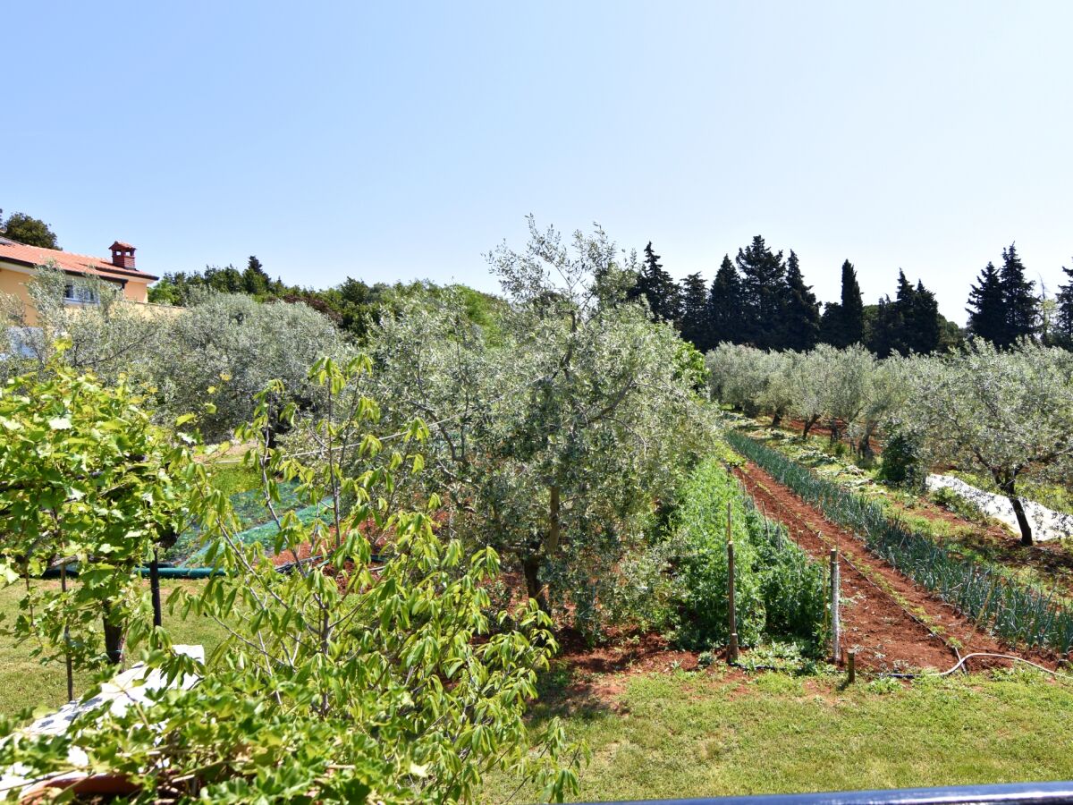 Apartment One bedroom apartment with balcony Bašanija, Umag A-20522-a - Outdoor photo 3