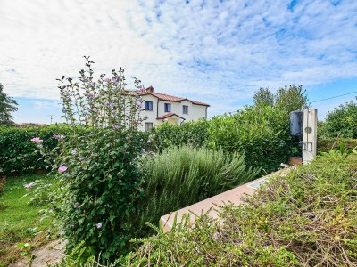 Holiday house Three bedroom house with terrace Valica, Umag K-20533 - Outdoor photo 8