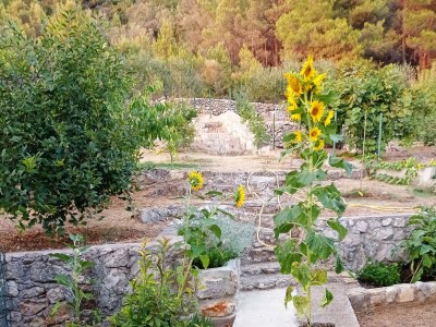 Apartment One bedroom apartment with terrace Mrljane, Pašman A-20056-a - Outdoor photo 8