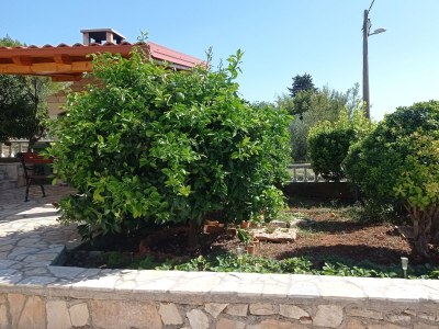 Apartment One bedroom apartment with terrace Mrljane, Pašman A-20056-a - Outdoor photo 29