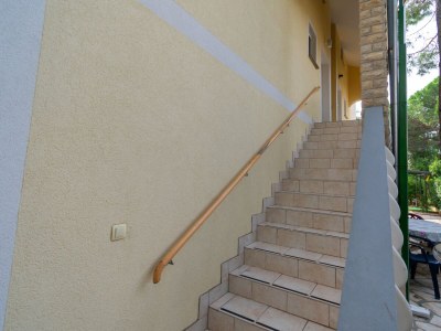 Apartment Two bedroom apartment with balcony and sea view Vir - Kozjak, Vir A-20149-a - Outdoor photo 13