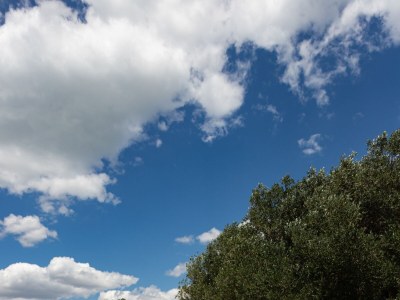 Apartment Studio flat near beach Cove Modrave, Šibenik AS-20191-a - Outdoor photo 9