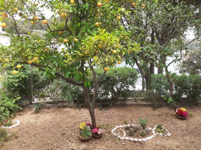 Holiday house Two bedroom house near beach Žrnovska Banja, Korčula K-20618 - Outdoor photo 6