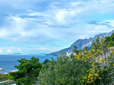Apartment One bedroom apartment with terrace and sea view Brela, Makarska A-20221-a - Outdoor photo 22