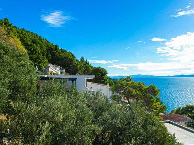 Apartment Two bedroom apartment with terrace and sea view Brela, Makarska A-20223-a - Outdoor photo 30