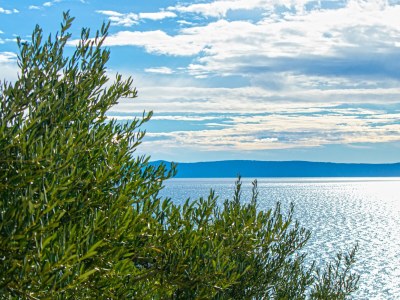 Apartment Two bedroom apartment with terrace and sea view Brela, Makarska A-20223-a - Outdoor photo 34