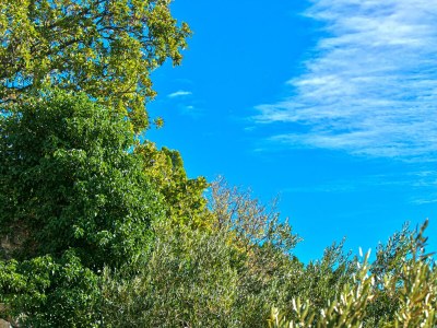 Apartment Two bedroom apartment with terrace and sea view Brela, Makarska A-20223-a - Outdoor photo 35