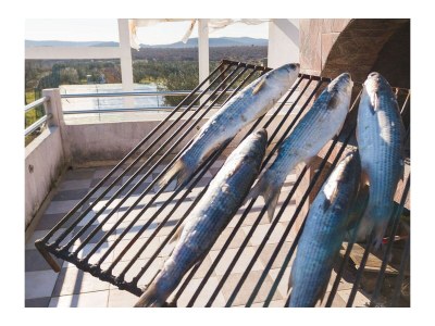 Holiday house Comfortable and spacious house with terrace and sea view Čista Velika, Vodice K-20227 - Outdoor photo 11