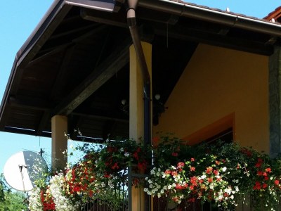 Holiday house One bedroom house with terrace Jakovci Netreticki, Karlovac K-20279 - Outdoor photo 4