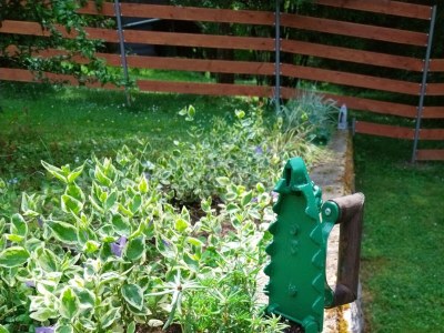 Holiday house One bedroom house with terrace Jakovci Netreticki, Karlovac K-20279 - Outdoor photo 9