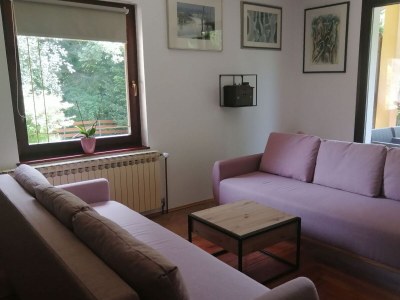 Holiday house One bedroom house with terrace Jakovci Netreticki, Karlovac K-20279 - Outdoor photo 12