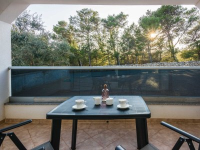 Apartment One bedroom apartment with terrace Vir A-20799-a - Outdoor photo 11