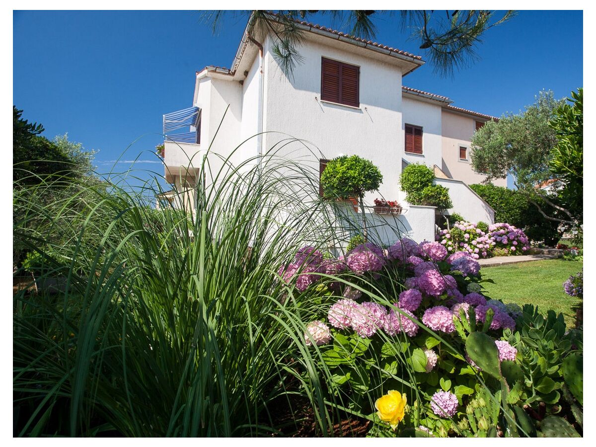 Apartment Four-bedroom apartment with terrace Krk A-20368-a - Outdoor photo 3