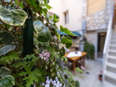 Apartment Three bedroom apartment with balcony Stari Grad, Hvar A-22052-a - Outdoor photo 11