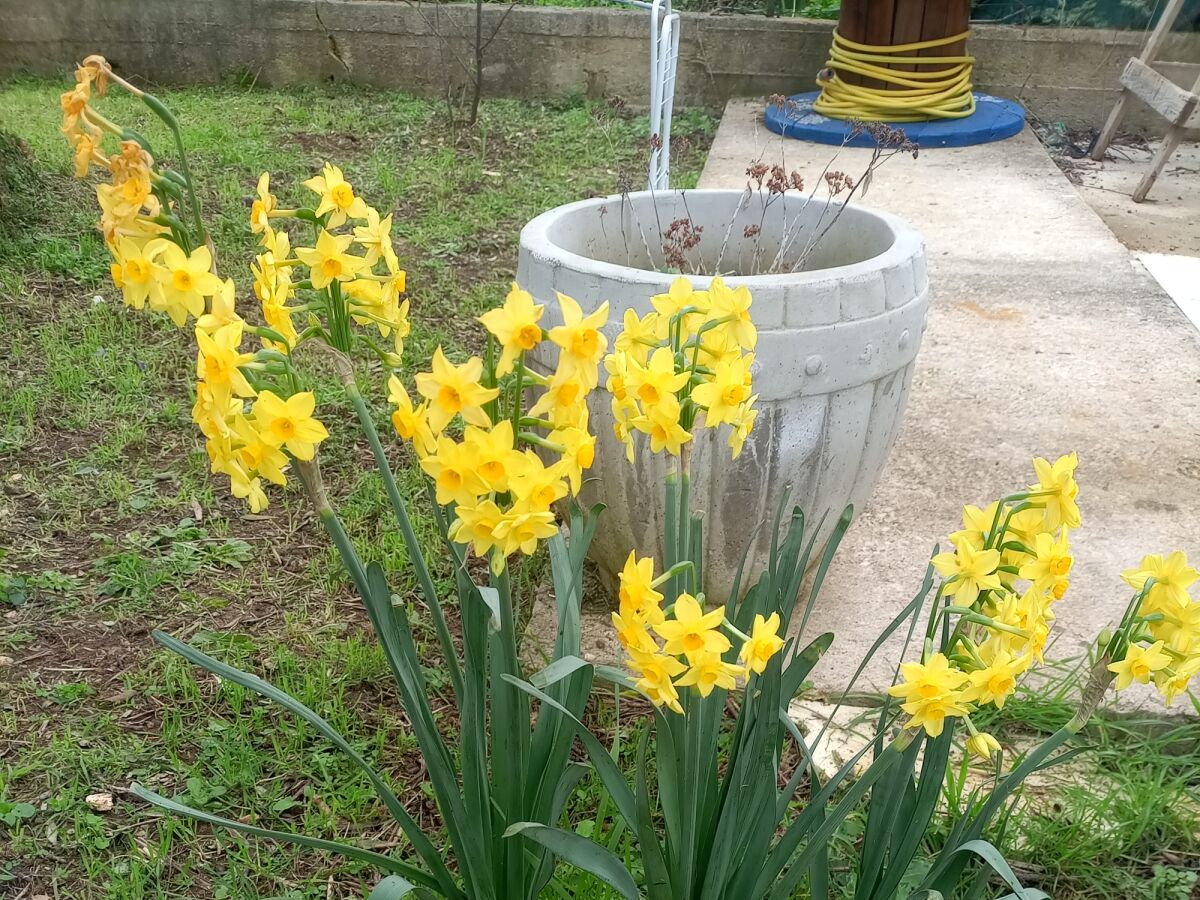 Apartment Studio flat with balcony and sea view Kraj, Pašman AS-22566-a - Outdoor photo 5