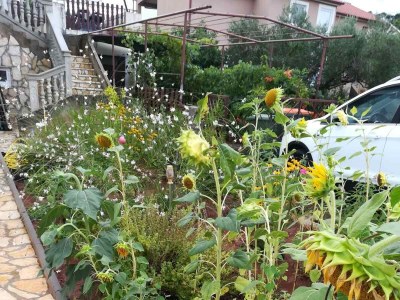 Apartment Studio flat with balcony and sea view Kraj, Pašman AS-22566-a - Outdoor photo 4