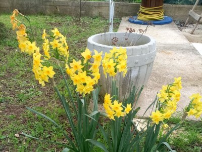 Apartment Studio flat with balcony and sea view Kraj, Pašman AS-22566-a - Outdoor photo 5