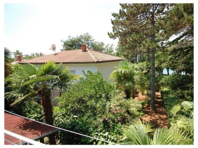 Apartment One bedroom apartment with terrace Njivice, Krk A-21761-a - Outdoor photo 16