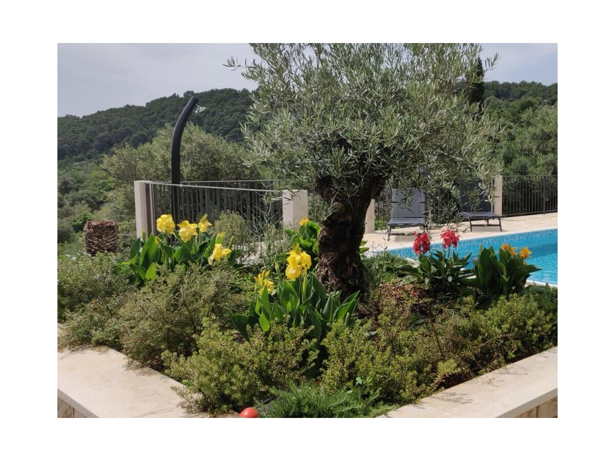 Holiday house Two bedroom house with terrace and sea view Selca, Brač K-22845 - Outdoor photo 5