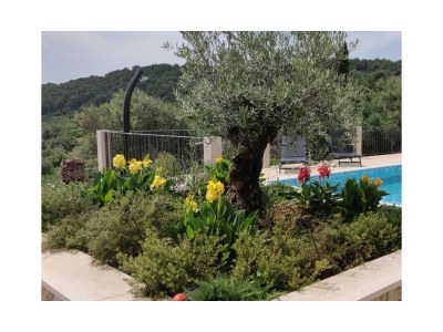 Holiday house Two bedroom house with terrace and sea view Selca, Brač K-22845 - Outdoor photo 5