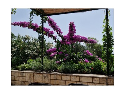 Holiday house Two bedroom house with terrace and sea view Selca, Brač K-22845 - Outdoor photo 10