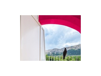 Apartment Two bedroom apartment with balcony Baška, Krk A-21847-a - Outdoor photo 20