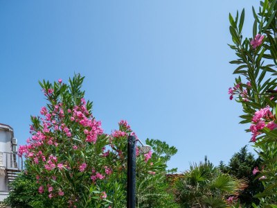 Apartment Two bedroom apartment with terrace Mandre, Pag A-22885-a - Outdoor photo 6