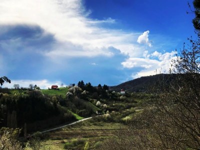 Holiday house Two bedroom house with terrace Dragovanščak, Prigorje K-22529 - Outdoor photo 19