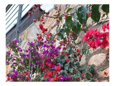 Holiday house Three bedroom house near beach Mali Lošinj, Lošinj K-22696 - Outdoor photo 9