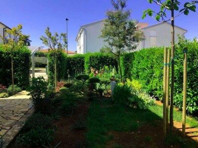 Apartment Two bedroom apartment with terrace Zambratija, Umag A-22711-a - Outdoor photo 3