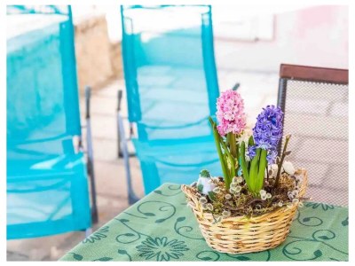 Apartment Two bedroom apartment near beach Cavtat, Dubrovnik A-23017-a in Cavtat - Apartment