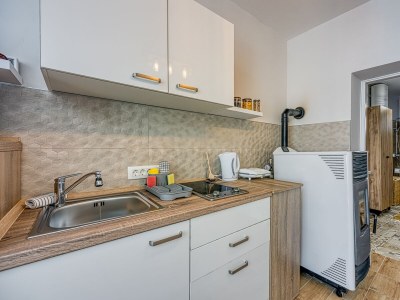 Apartment Studio flat Delnice, Gorski kotar AS-23045-a - Outdoor photo 6