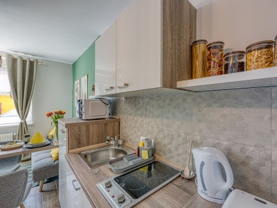 Apartment Studio flat Delnice, Gorski kotar AS-23045-a - Outdoor photo 7