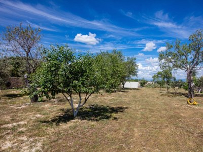 Apartment Apartments with parking space Smrdelje, Krka - 23078 - Apartments with parking space Smrdelje, Krka - 23078 - Outdoor photo 23