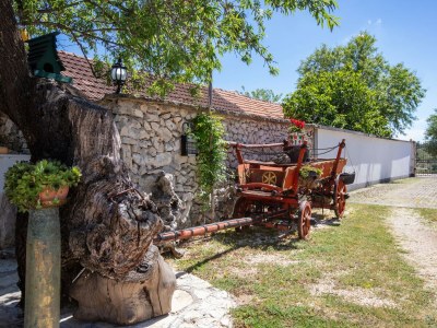 Apartment Apartments with parking space Smrdelje, Krka - 23078 - Apartments with parking space Smrdelje, Krka - 23078 - Outdoor photo 27