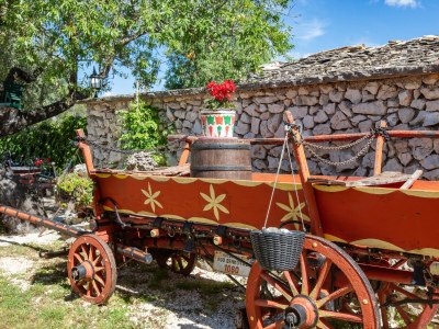 Apartment Apartments with parking space Smrdelje, Krka - 23078 - Apartments with parking space Smrdelje, Krka - 23078 - Outdoor photo 28