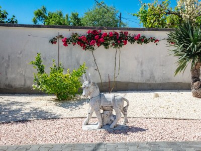 Apartment Apartments with parking space Smrdelje, Krka - 23078 - Apartments with parking space Smrdelje, Krka - 23078 - Outdoor photo 34