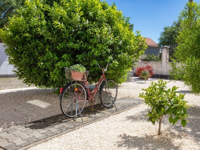 Apartment Apartments with parking space Smrdelje, Krka - 23078 - Apartments with parking space Smrdelje, Krka - 23078 - Outdoor photo 36