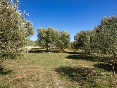 Apartment Apartments with parking space Smrdelje, Krka - 23078 - Apartments with parking space Smrdelje, Krka - 23078 - Outdoor photo 44