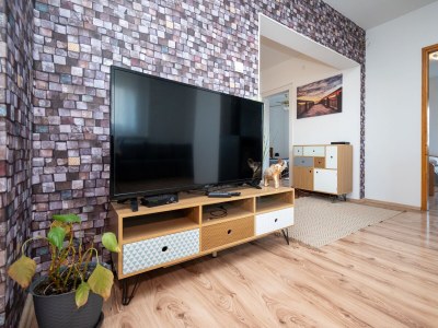 Apartment Three bedroom apartment with balcony Zadar A-23521-a - Outdoor photo 10