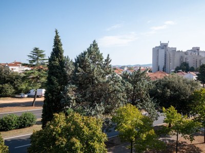 Apartment Three bedroom apartment with balcony Zadar A-23521-a - Outdoor photo 41