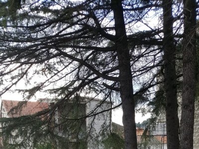 Holiday house Seaside holiday house Poljica, Trogir - 23107 - Seaside holiday house Poljica, Trogir - 23107 - Outdoor photo 6