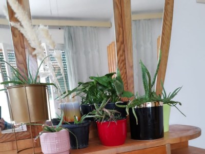 Holiday house Seaside holiday house Poljica, Trogir - 23107 - Seaside holiday house Poljica, Trogir - 23107 - Outdoor photo 29