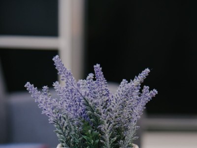 Apartment One bedroom apartment with terrace Lipovača, Plitvice A-17657-a - Outdoor photo 19