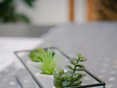 Apartment One bedroom apartment with terrace Lipovača, Plitvice A-17657-a - Outdoor photo 25