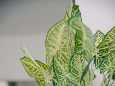 Apartment One bedroom apartment with terrace Lipovača, Plitvice A-17657-a - Outdoor photo 30